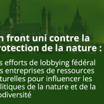 Un front uni contre la protection de la nature : une enquête de Greenpeace Canada révèle l'existence d'un front sectoriel en faveur des compensations