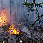 Fires 372 and 373 are raging in the area north of Obedjiwan.