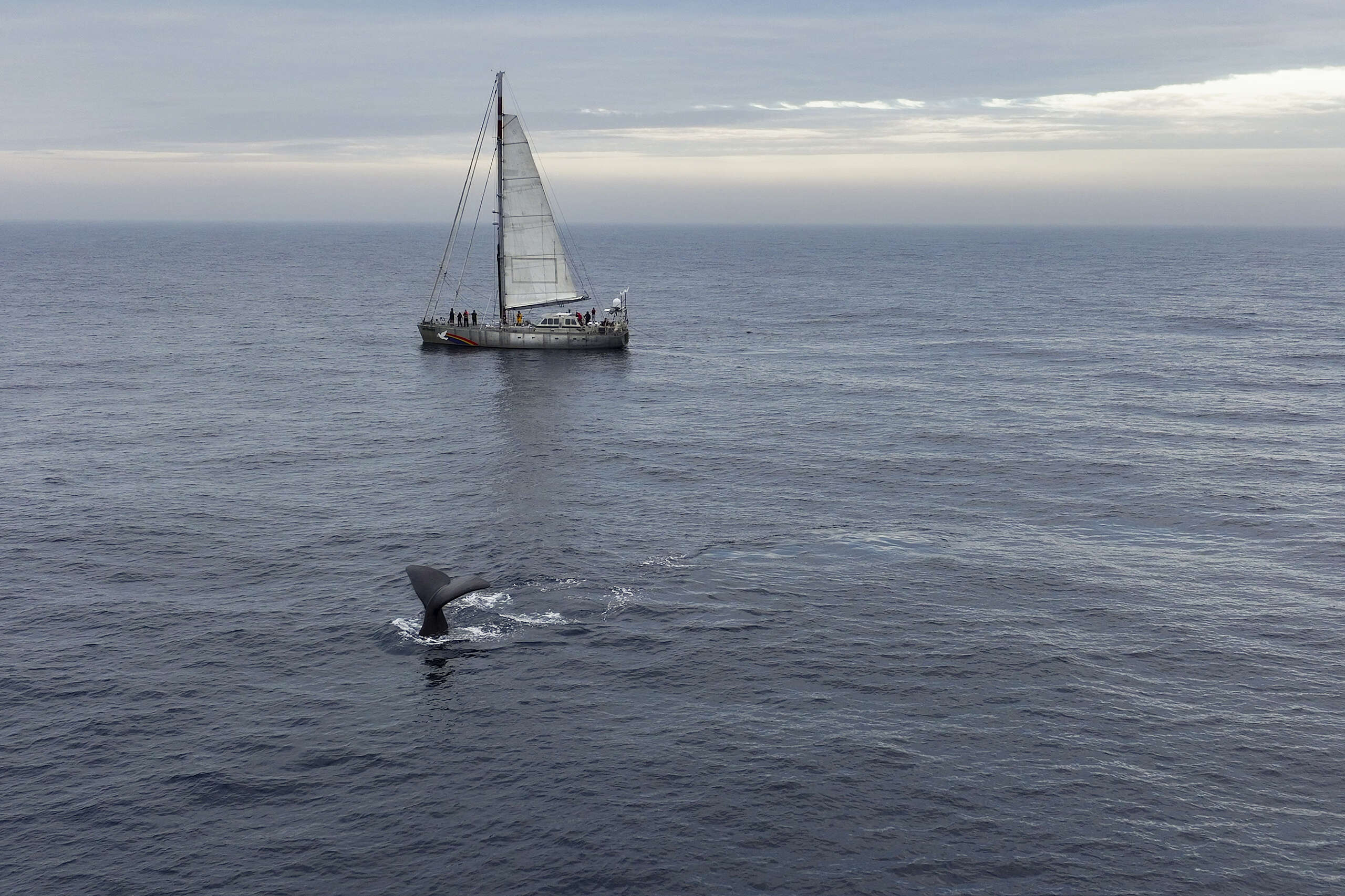 Greenpeace prend la mer pour mettre un frein à l’exploitation minière en eaux profondes