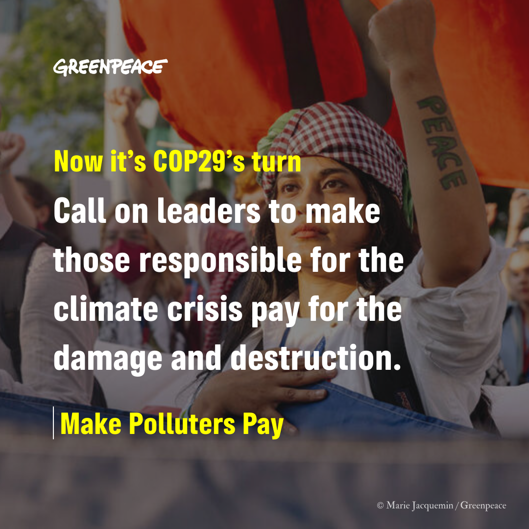 Leaders must seize decisive moment for climate finance at COP29