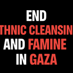 Greenpeace demands international accountability in the face of ethnic cleansing and famine in Gaza