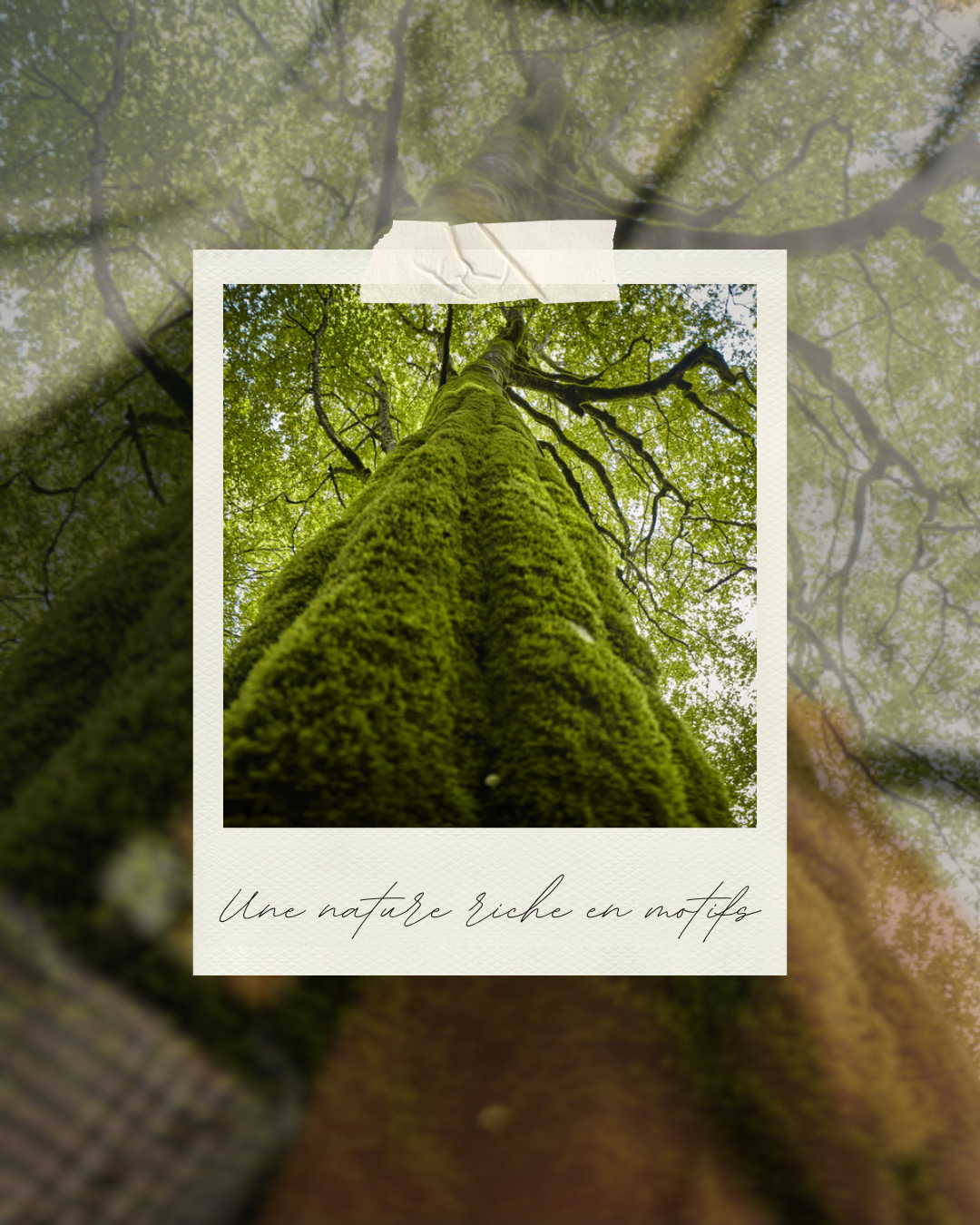 Préparez-vous à immortaliser la nature : notre concours photo 2025 est arrivé! 📸🌿