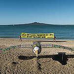 A giant toroa / albatross with a 10-metre wing-span is installed by Greenpeace Aotearoa volunteers on the iconic Mission Bay beach in Auckland New Zealand to call on the New Zealand government to take action on plastic pollution and commit to support a stronger Global Plastics Treaty of 75% plastic reduction by 2040 ahead of the 3rd Intergovernmental Negotiating Committee (INC3) in Nairobi, Kenya on November 13th.