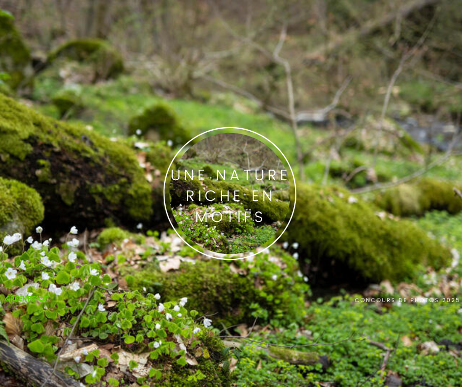 Une excursion photographique au cœur de la nature – plus que quelques heures pour participer!
