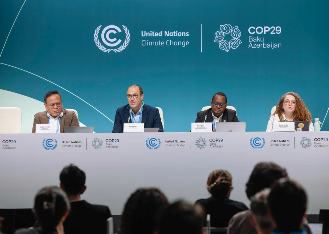 COP30 in sight: 5 things you need to know about COPs