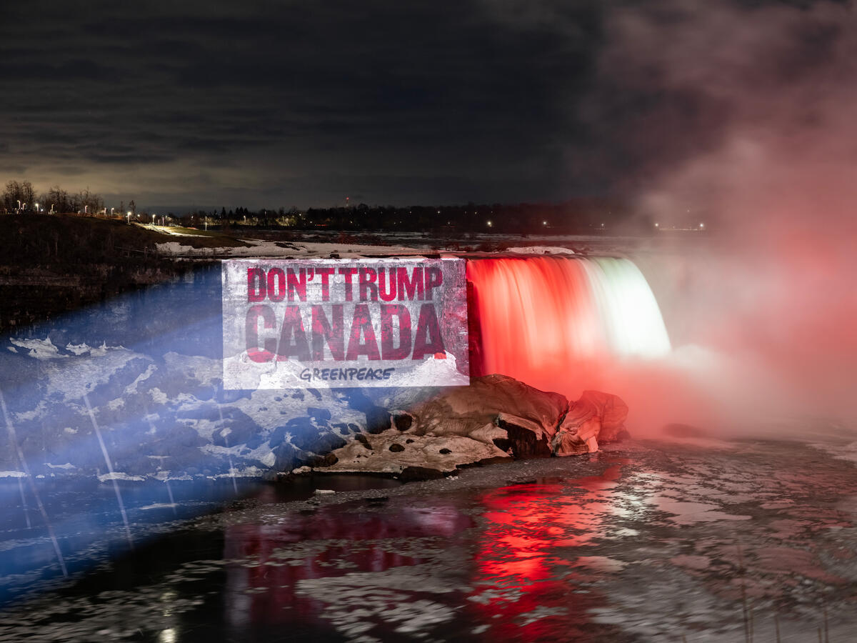 Surveillance, privacy violations, deportations: How Carney’s new laws are building a freedom repression machine