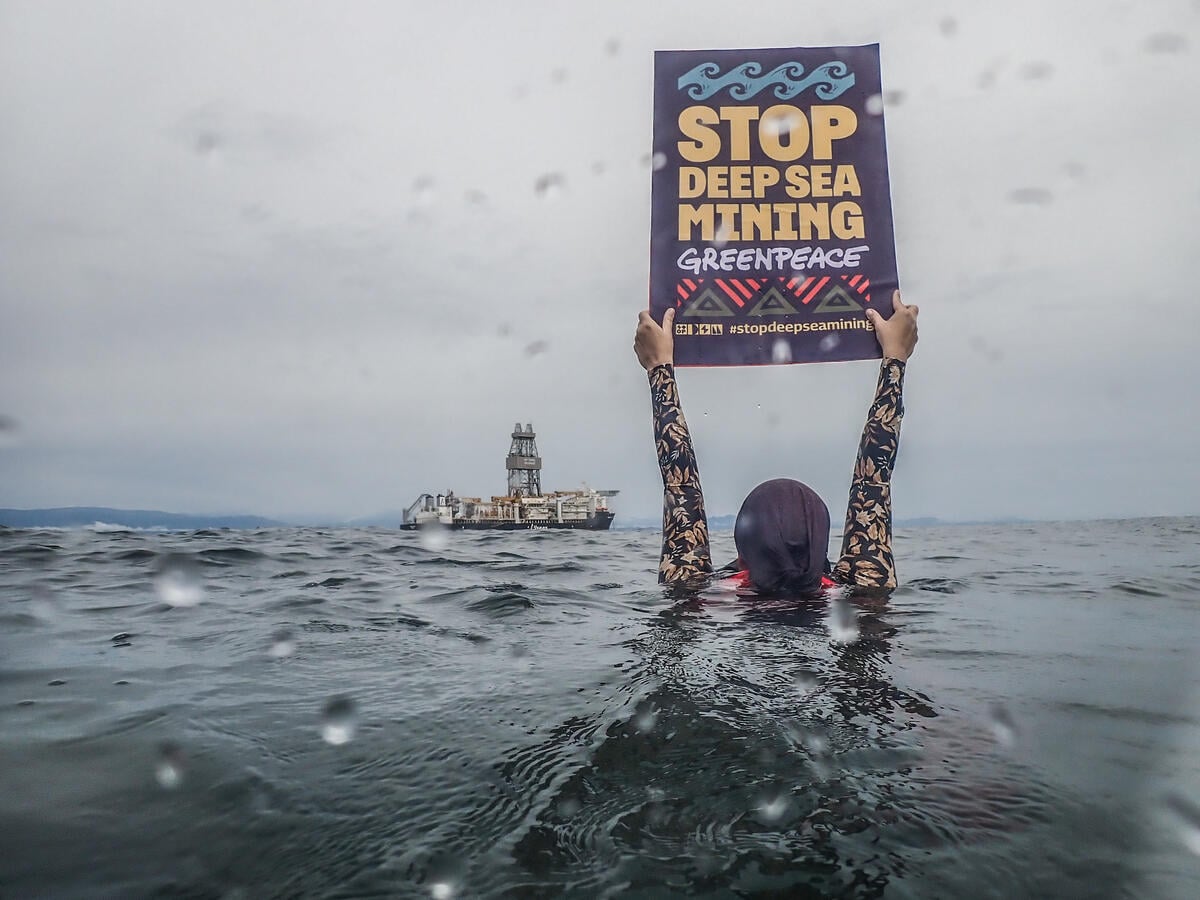 Double victory: deep sea mining plans halted in the Arctic and Pacific