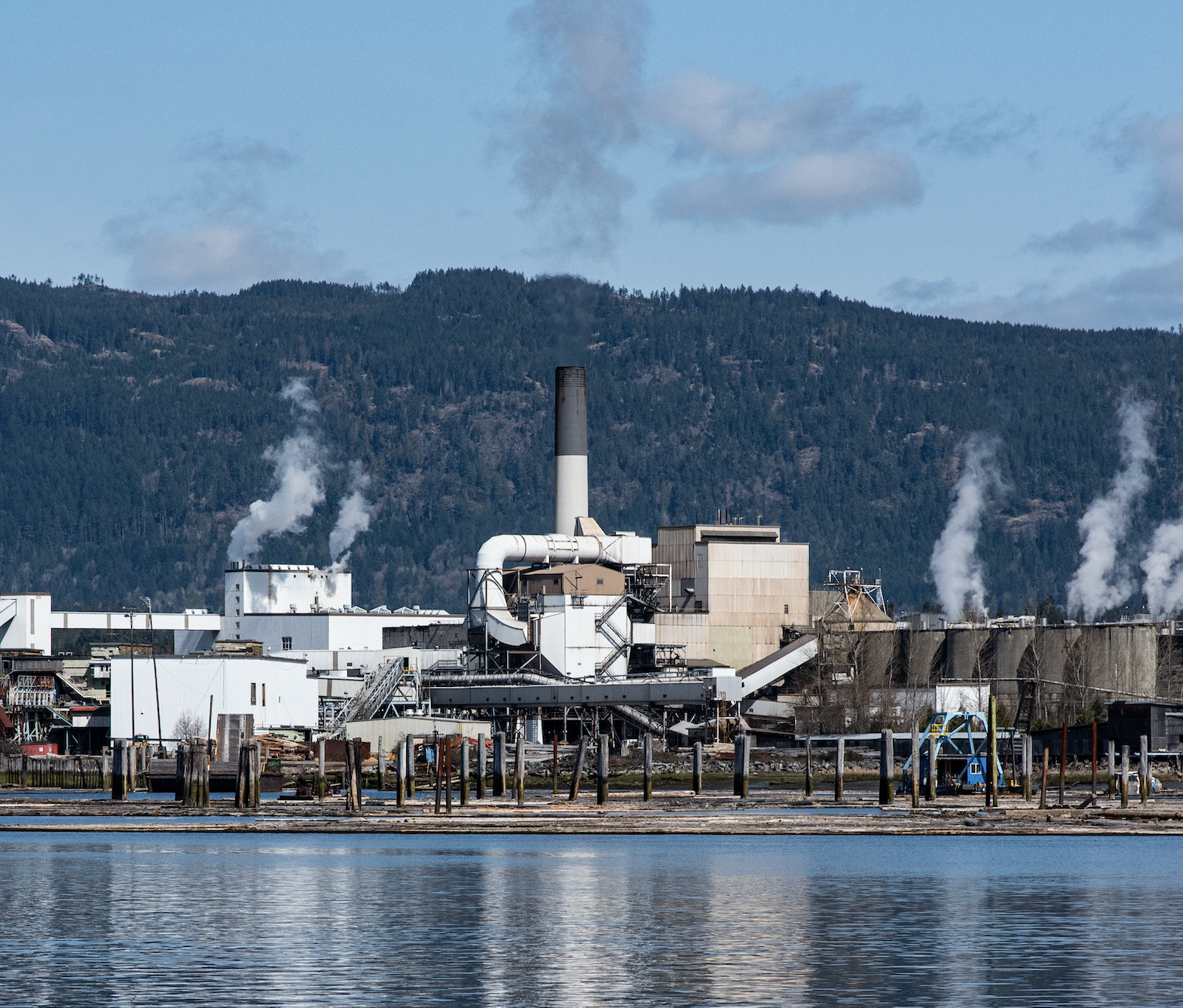 Report: Paper Trail to Nowhere, Investigative Findings on Domtar