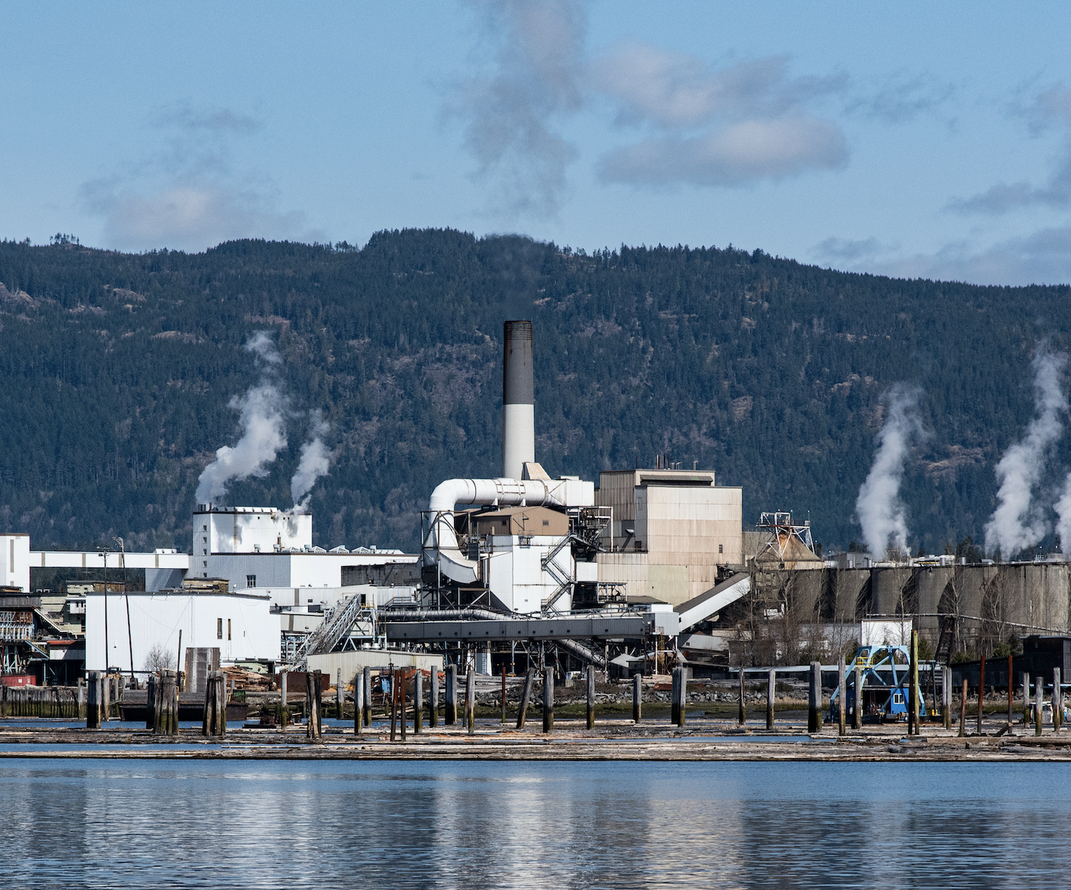 Une enquête de Greenpeace Canada révèle que les activités de lobbying de Domtar lui ont permis d’obtenir plus de 200 M$ en fonds publics canadiens