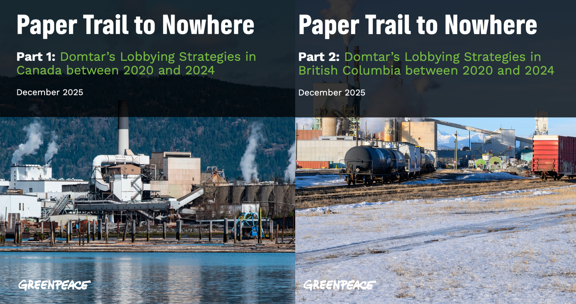 Report: Paper Trail to Nowhere, Investigative Findings on Domtar