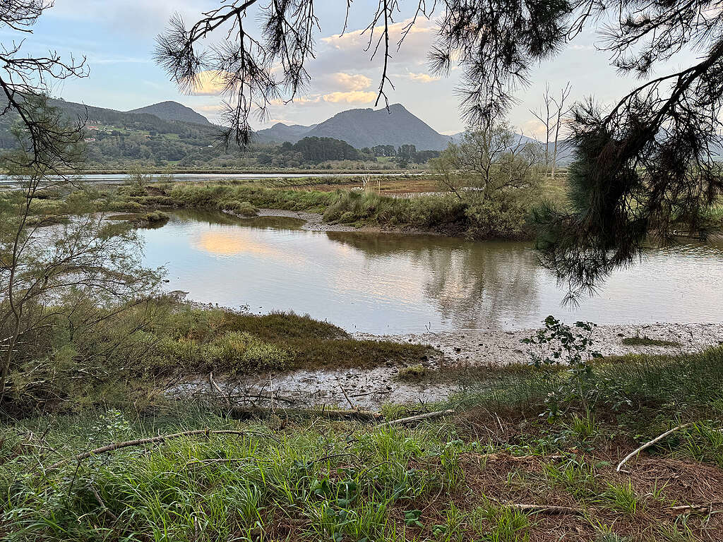 A picture of the Urdaibai Biosphere Reserve, Bizkaia, Basque Country, Spain.