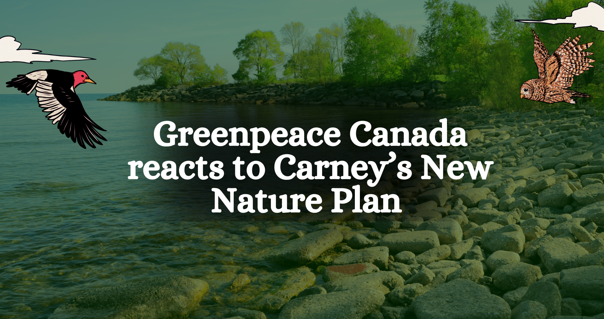 Greenpeace Canada Reacts to Carney’s New Nature Protection Plans