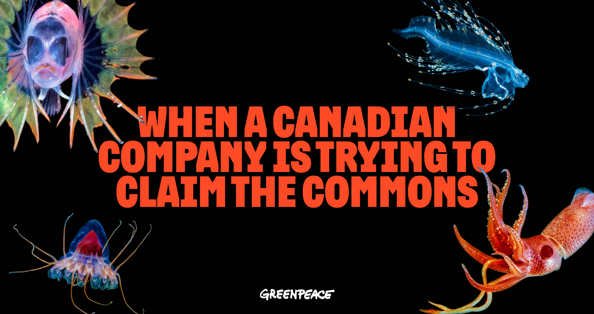 When a Canadian company is trying to claim the commons