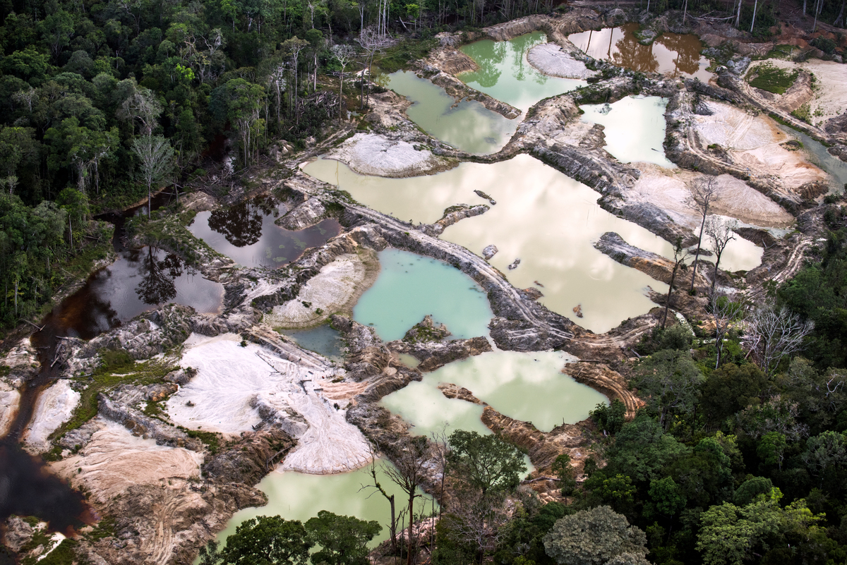 Un nouveau rapport de Greenpeace Brésil détaille le blanchiment d’or illégal de l’Amazonie vers le Canada