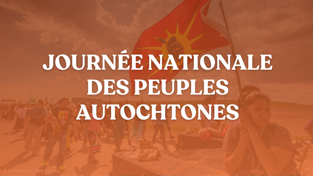 JOURN&Eacute;E NATIONALE DES PEUPLES AUTOCHTONES&nbsp;: TRANSFORMER LES ENGAGEMENTS EN ACTIONS