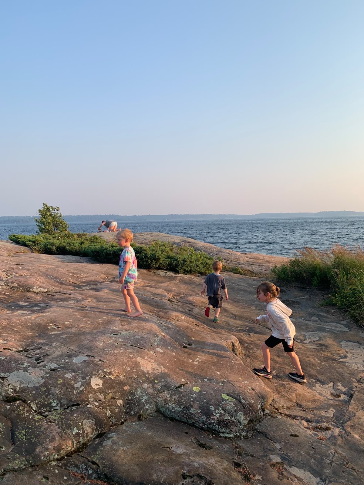 Connecting the dots: fires, fossil fuels and nature