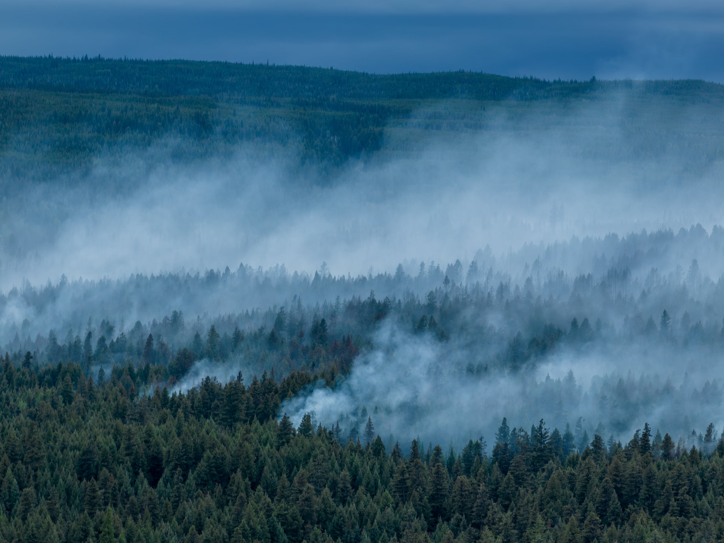 Where to Give Right Now: Wildfire Mutual Aid Across B.C., the N.W.T., and Northern Ontario
