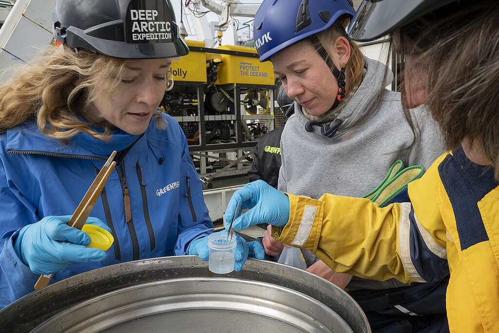 Deep Arctic Expedition