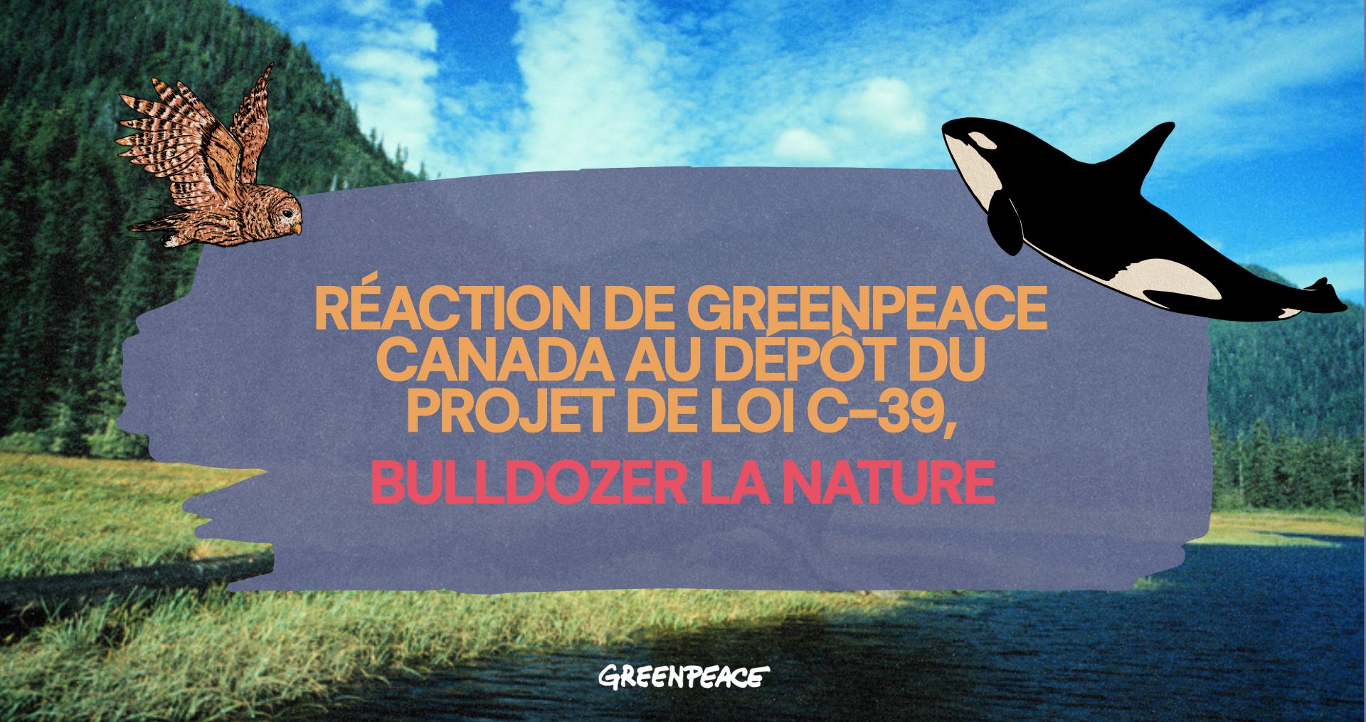 Réaction de Greenpeace Canada au dépôt du projet de loi C-39, Bulldozer la nature