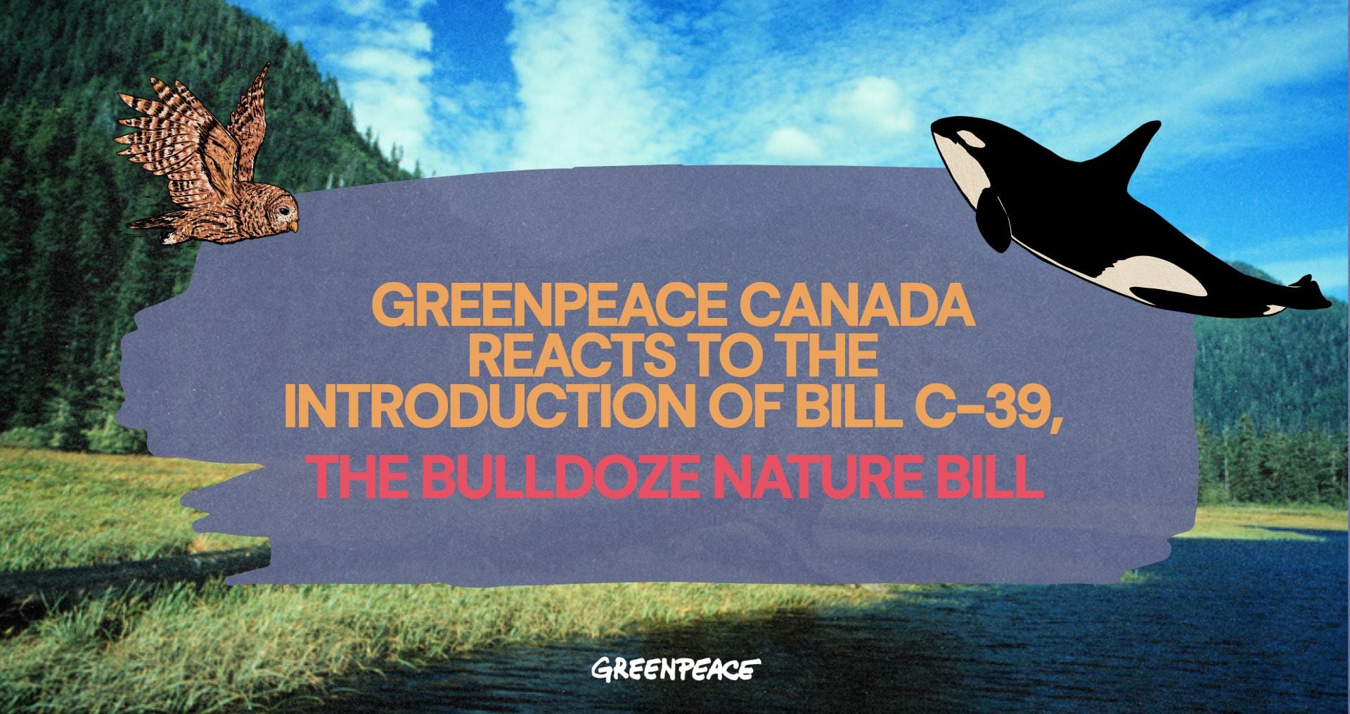 Greenpeace Canada reacts to the introduction of Bill C-39, The Bulldoze Nature Bill