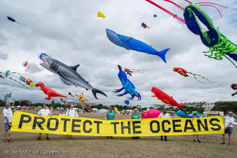 Volunteers at the Kite Festival in Portsmouth