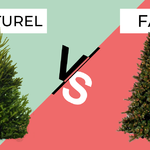 Vrai ou faux sapin de Noël? Essayez plutôt l’une de ces options écologiques