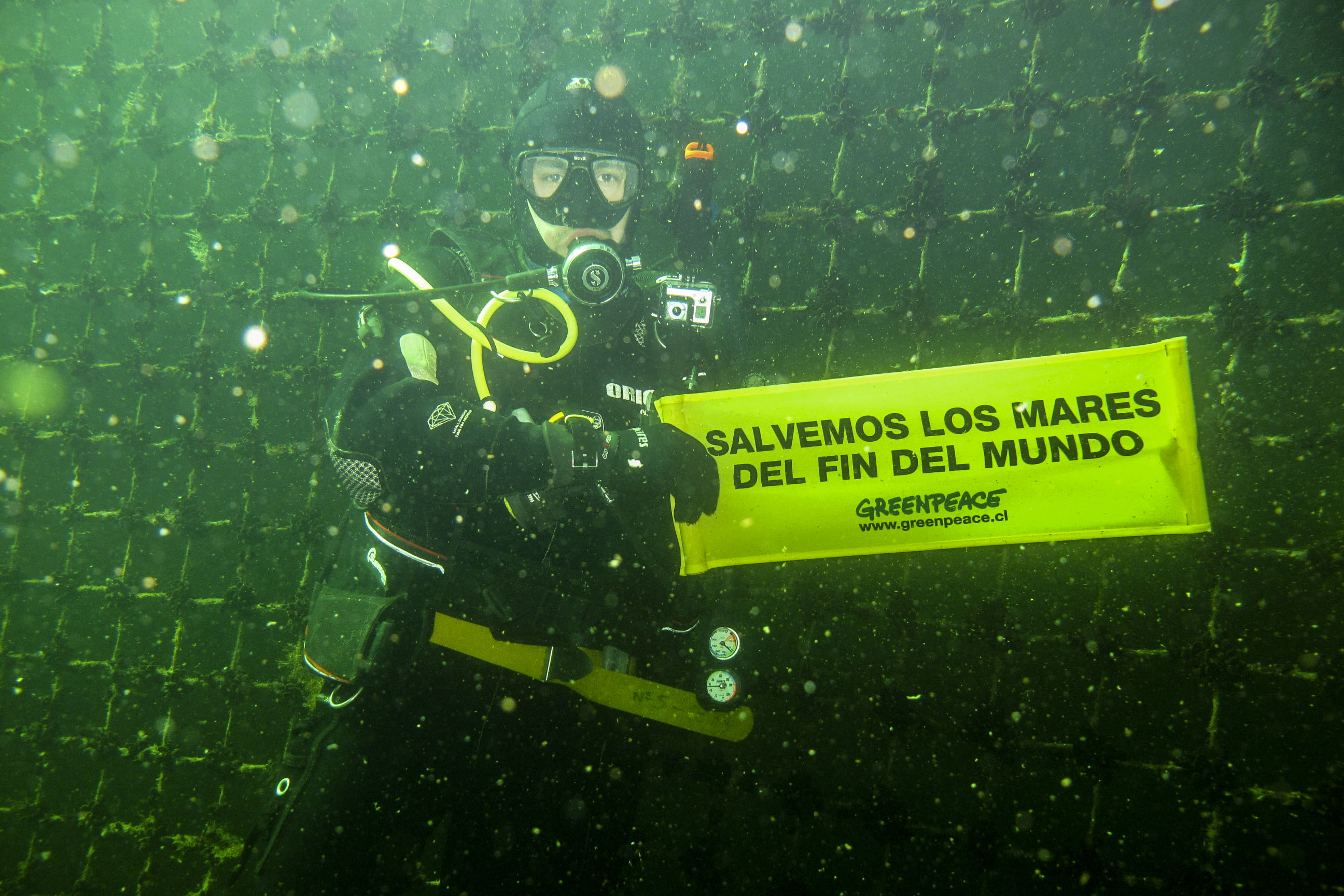 Freno a la expansión salmonera 