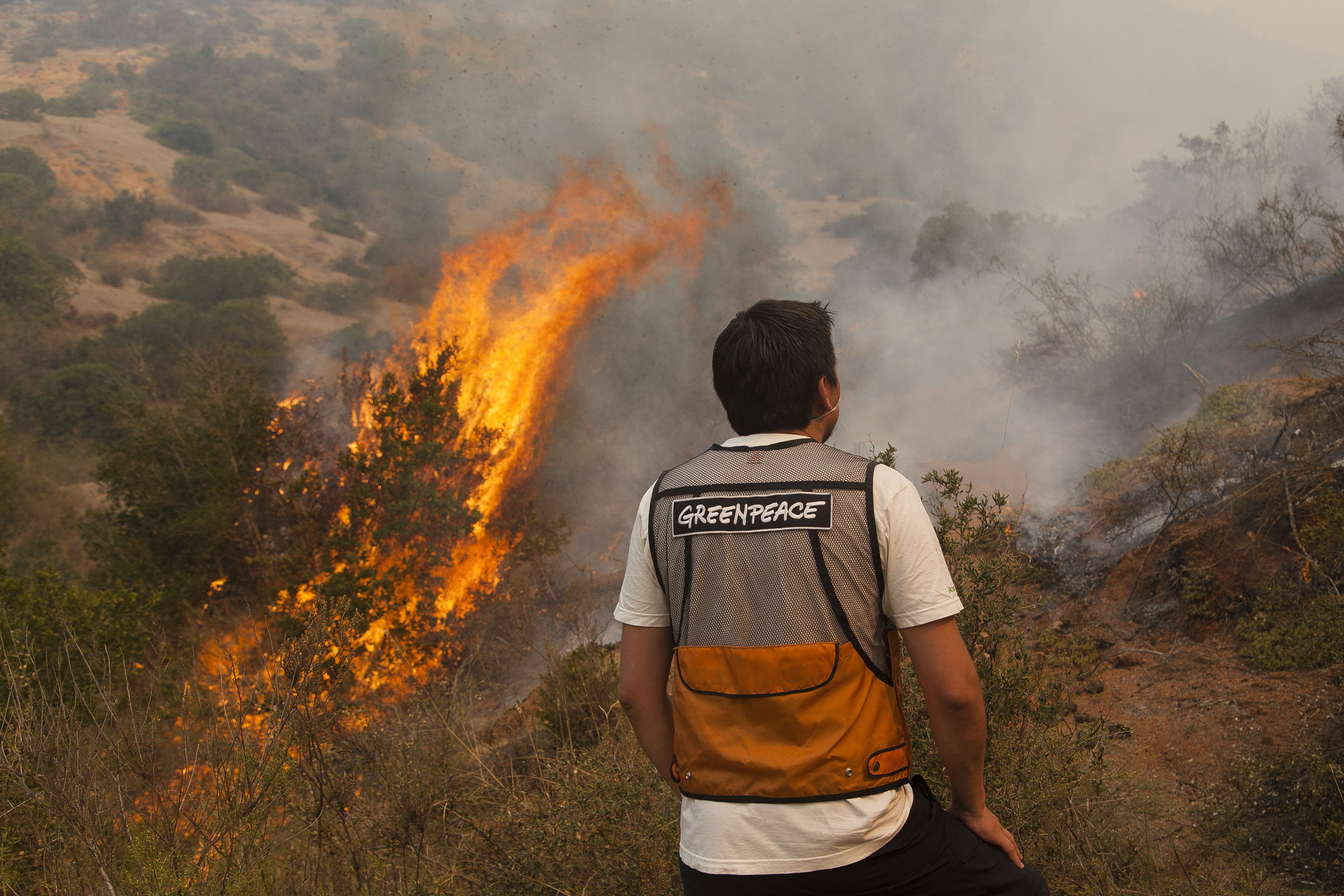INCENDIO PUMANQUE CHILE