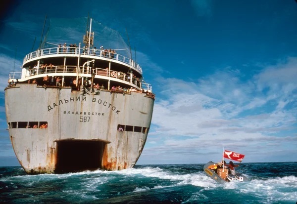 Image: https://www.greenpeace.org/static/planet4-chile-stateless/2021/09/ecc26478-foto2jpg.jpg