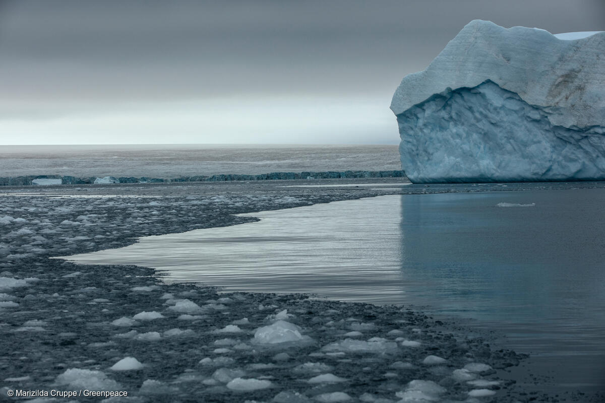 Greenpeace logró la protección de 8 nuevos ecosistemas en el Océano ...