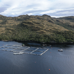 PRIMER TRIUNFO 2023: JUSTICIA DEJA FUERA DE LA RESERVA NACIONAL KAWÉSQAR DOS SALMONERAS DE NOVA AUSTRAL