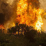INCENDIO PUMANQUE CHILE