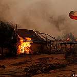 URGENTE: Incendios forestales ¿Cómo y dónde ayudar frente a esta emergencia socioambiental?