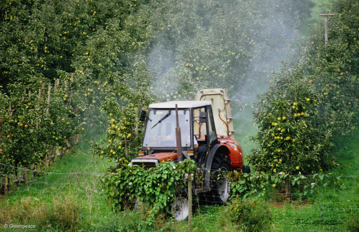 Agua que no es de beber: el agronegocio, la mayor fuente de ...