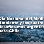 En el Día Nacional del medio ambiente: los cuatro desafíos más urgentes para nuestro país según Greenpeace