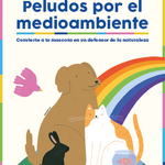 8 tips y juegos sustentables para mascotas