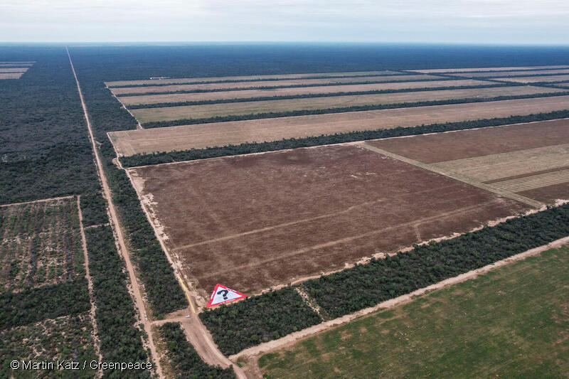 Treinta y tres activistas de varias provincias participaron en la protesta, mostrando un cartel dentro de la finca con un signo de interrogación gigante y la frase "¿Y el bosque?". Los otros dos carteles, con forma de cinta métrica, delimitaban la superficie de una hectárea, como una pequeña muestra de las 11.875 hectáreas deforestadas ilegalmente allí