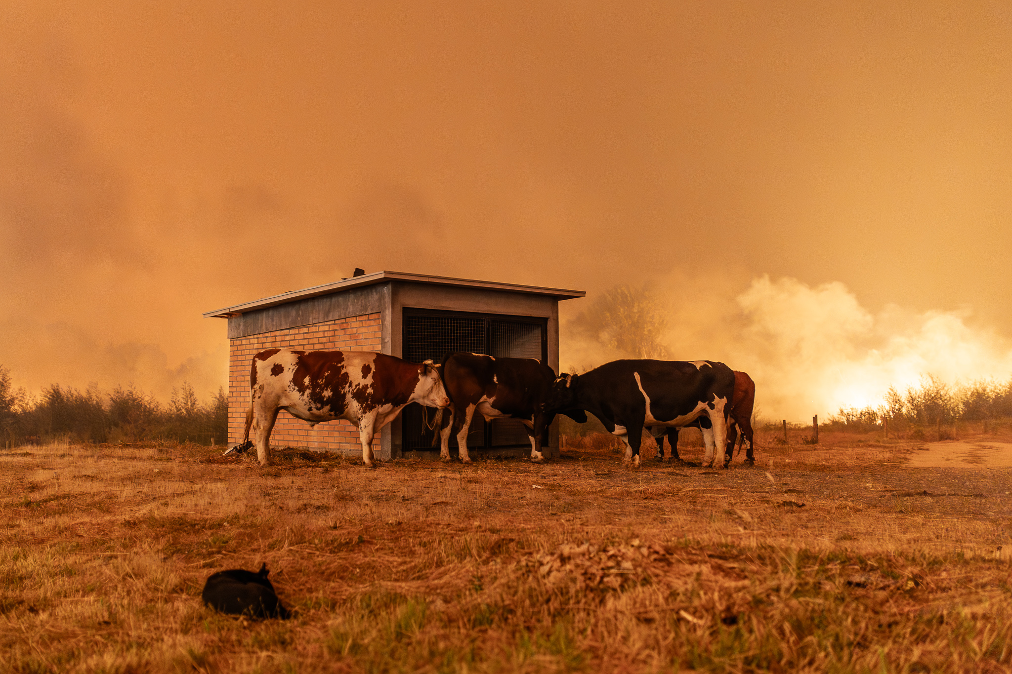 Cuando regular salva vidas