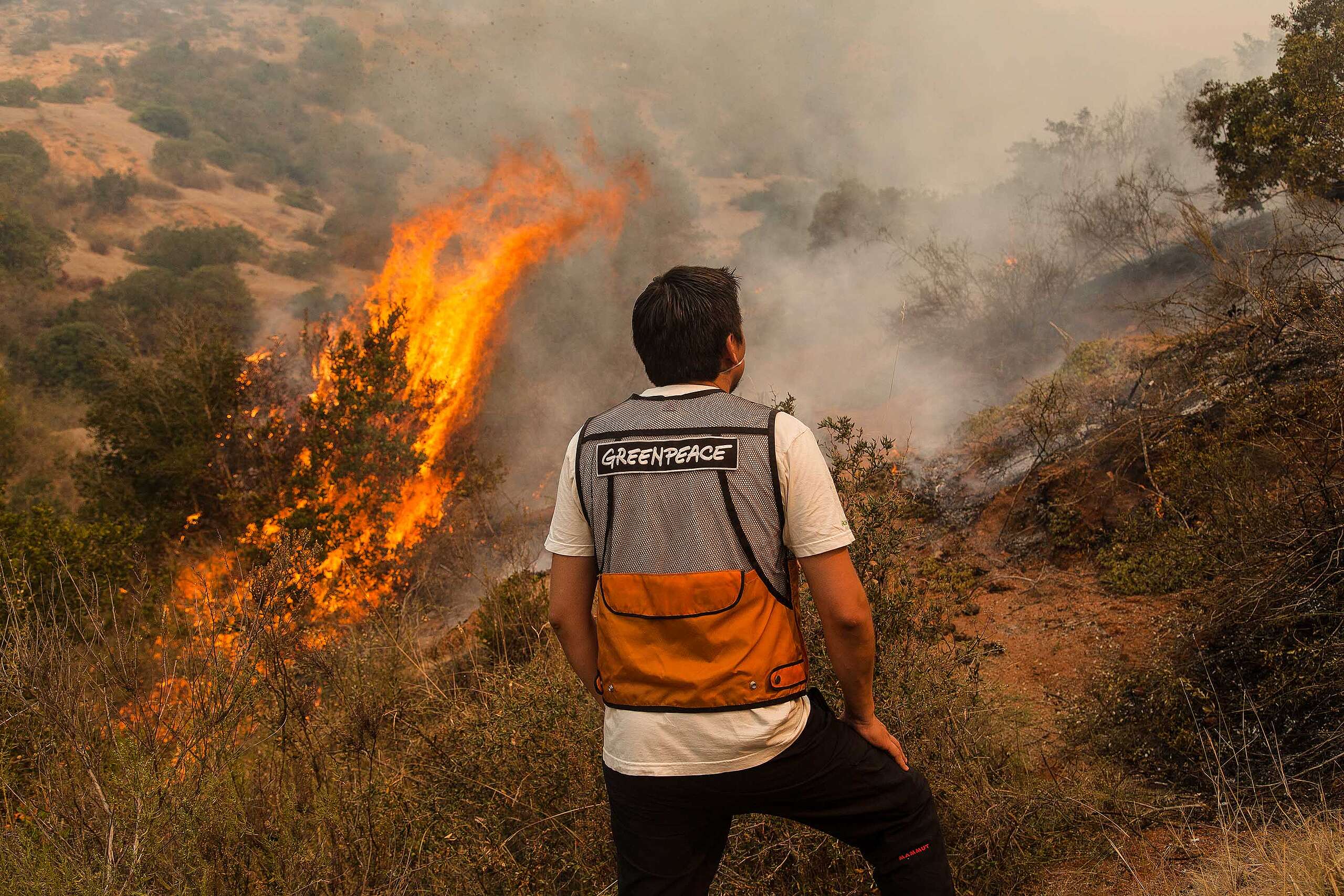 El Niño anticipa un verano más seco en la zona centro sur de Chile: que la prevención llegue antes que el fuego
