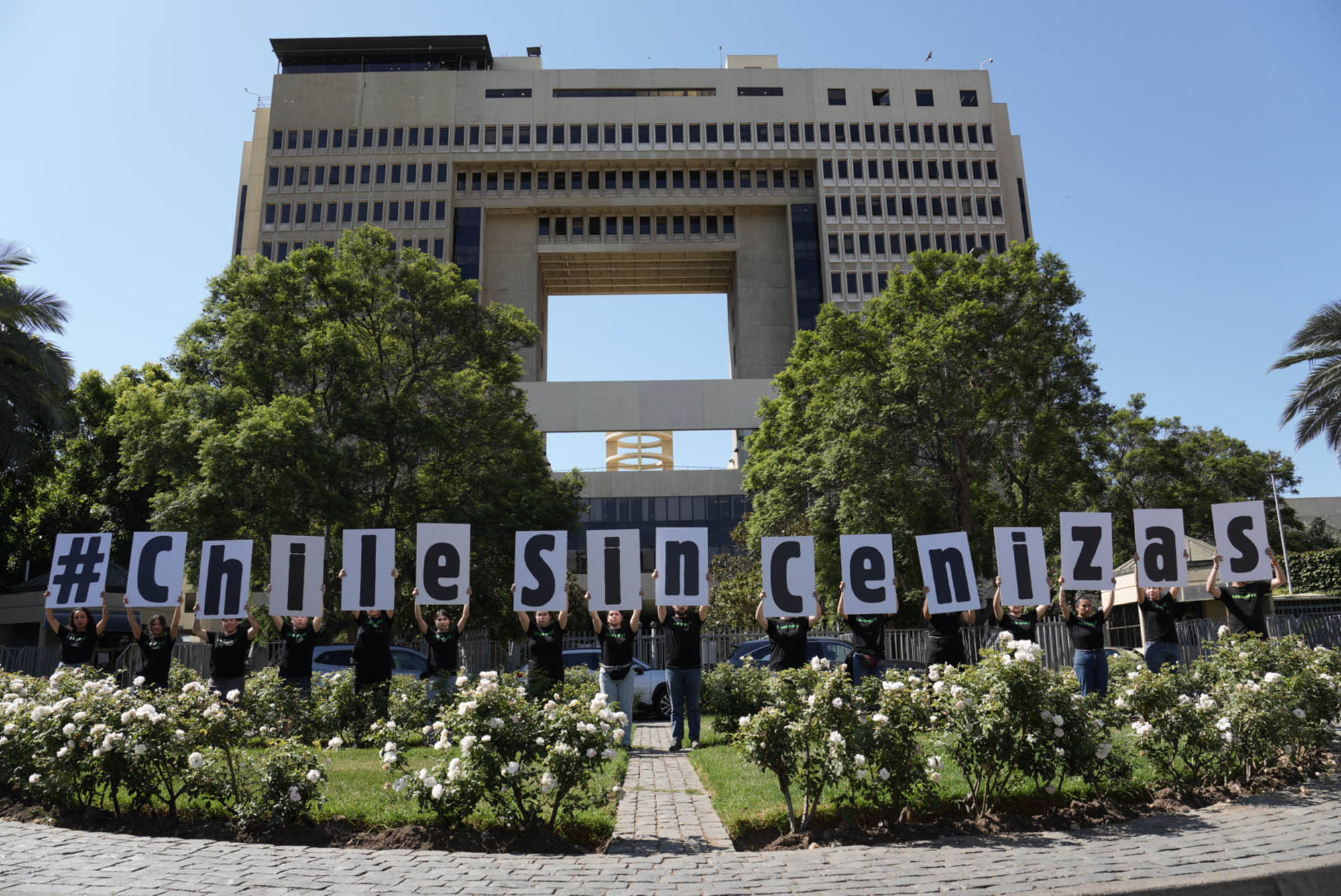 #ChileSinCenizas: Greenpeace exige al Senado mayor urgencia en proyecto de prevención de incendios