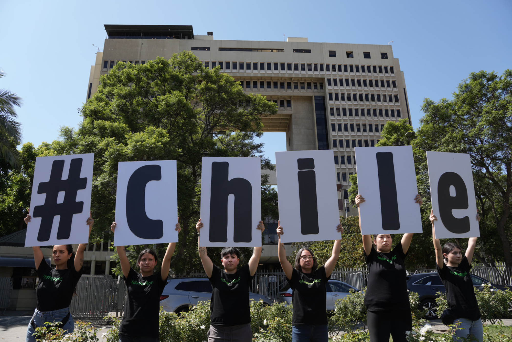 D&iacute;a Internacional de los Bosques: incendios, bosques nativos y el pedido de un #ChileSinCenizas&nbsp;&nbsp;