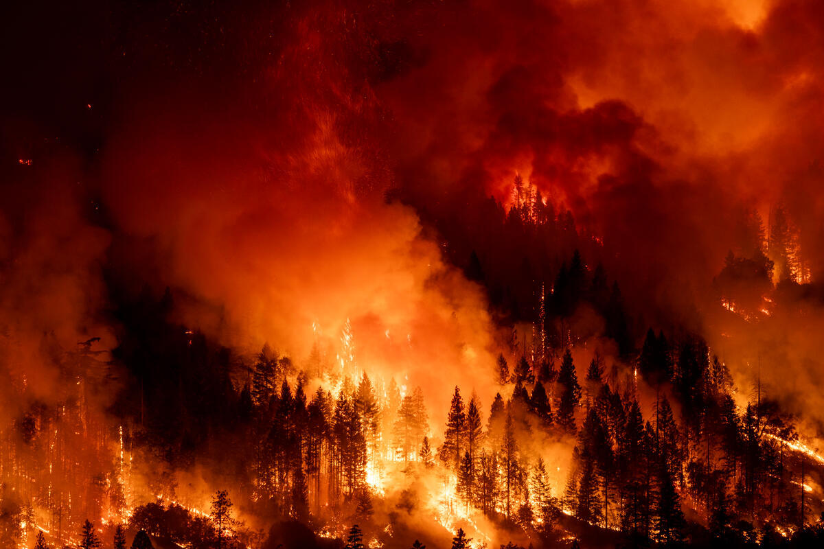 Park Wildfires in California. © David McNew / Greenpeace