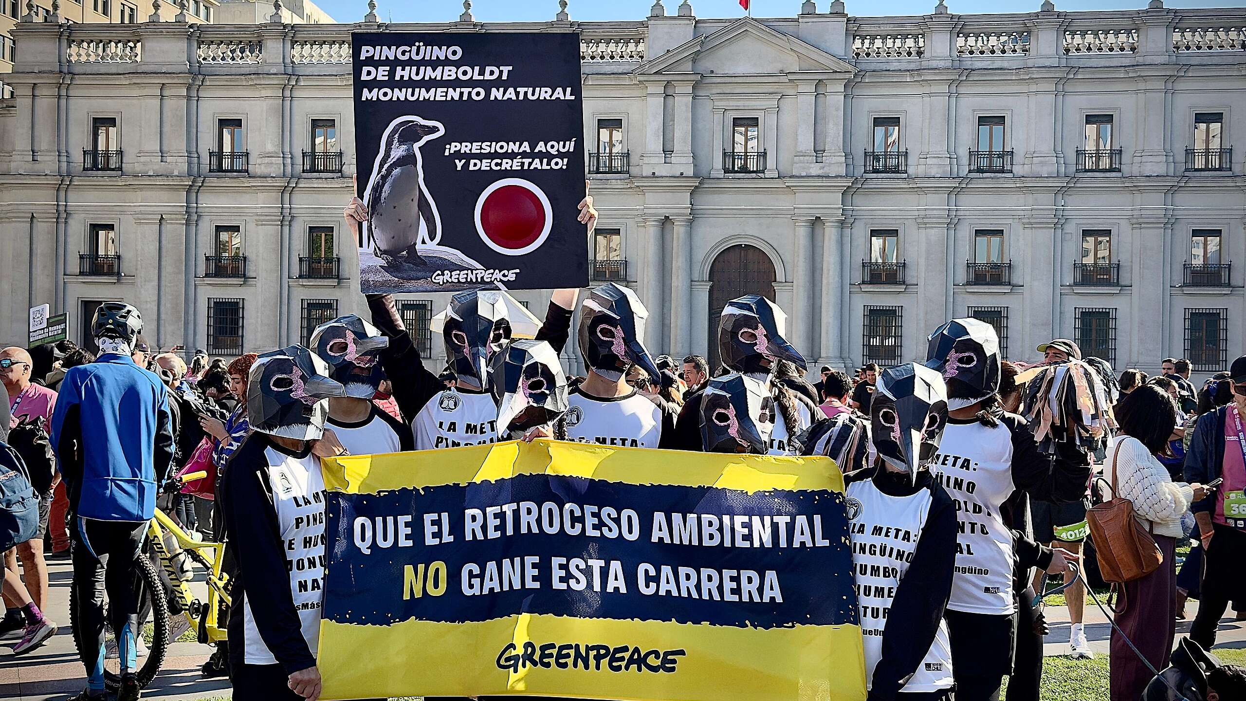 Pingüinos de Humboldt se roban las miradas en la Maratón de Santiago 2026