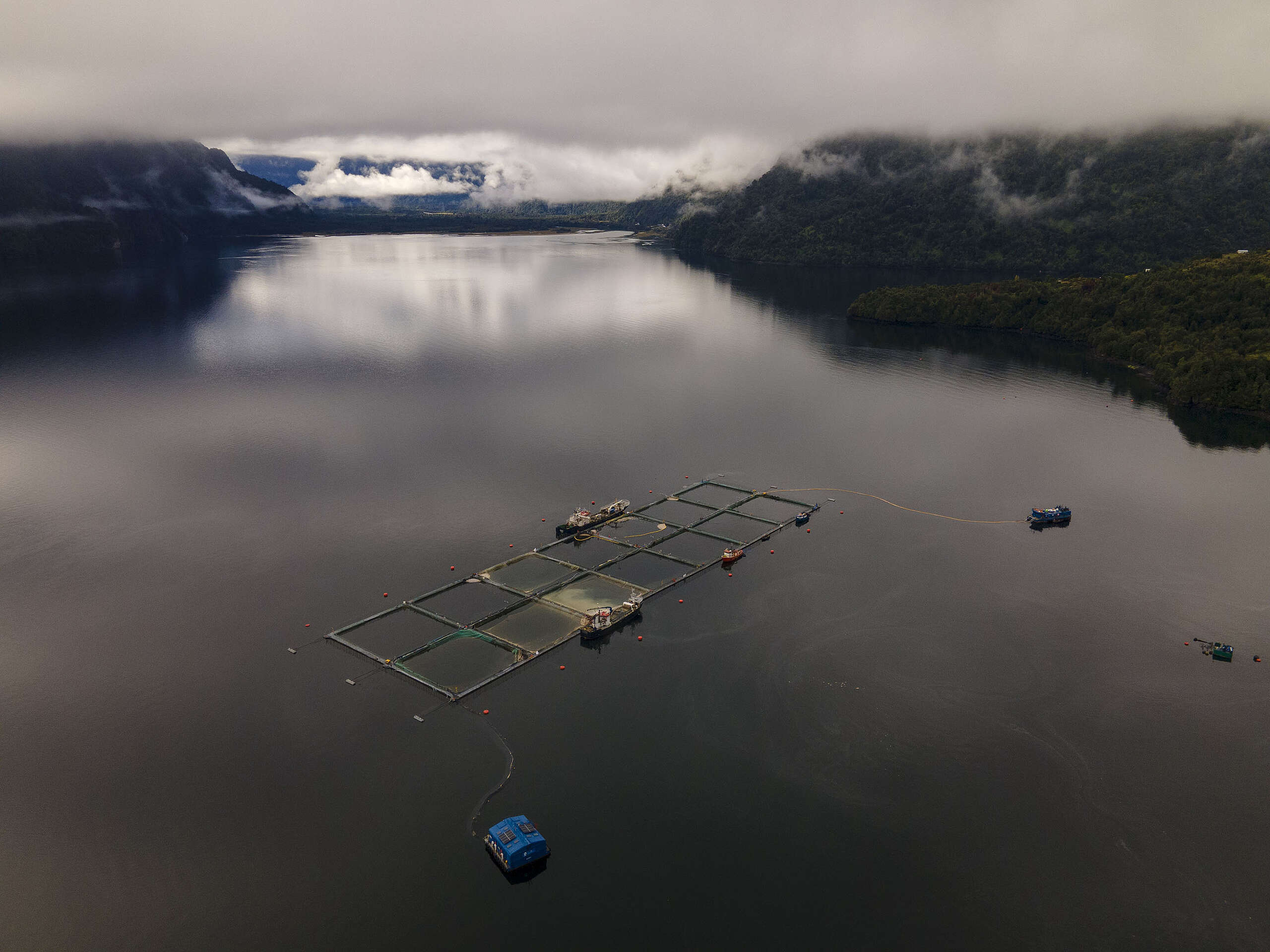 Declaración pública de Greenpeace sobre el avance de la megarreforma