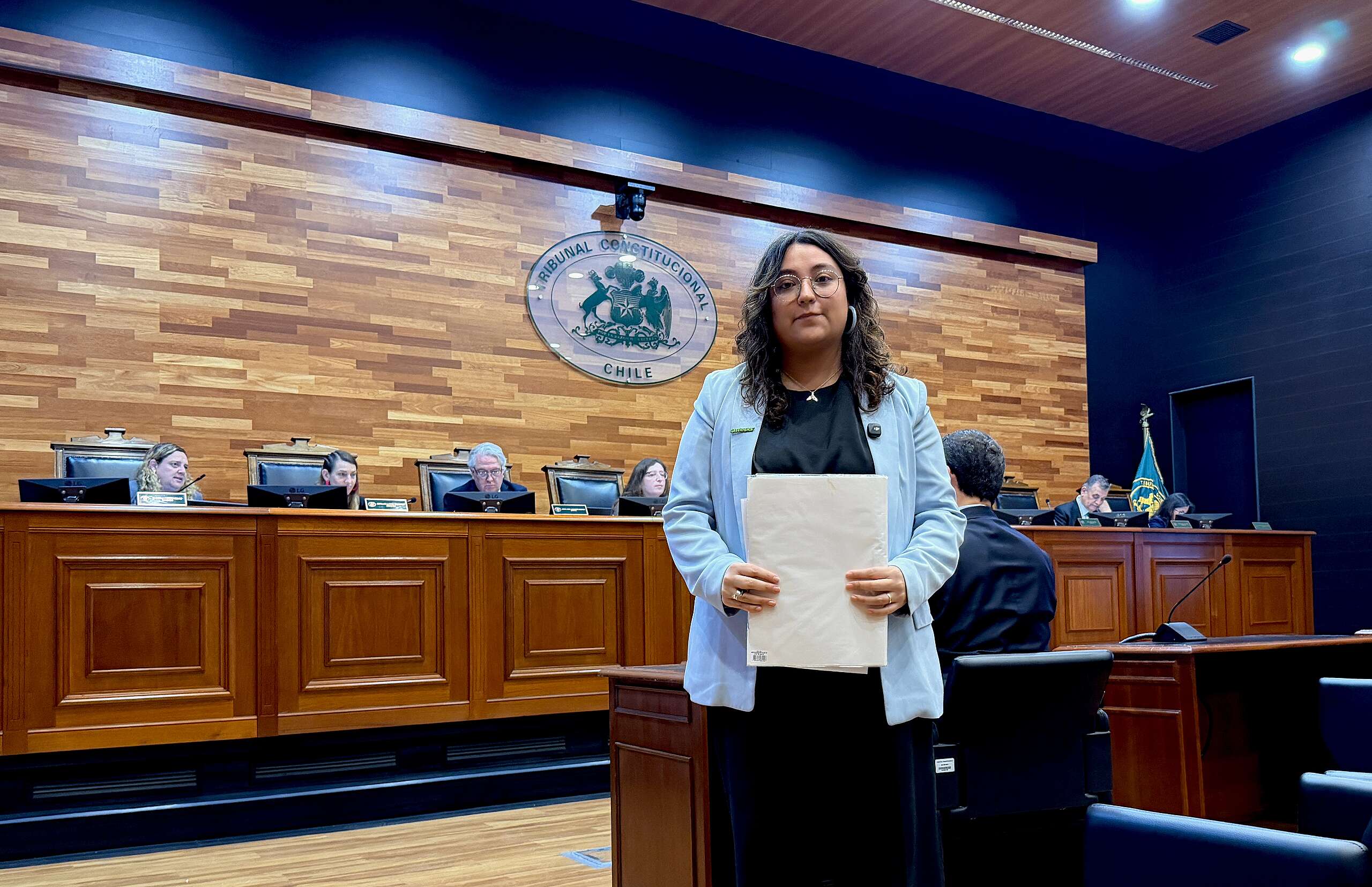 Greenpeace advierte posibles vicios de constitucionalidad en la Ley de Reconstrucción Nacional