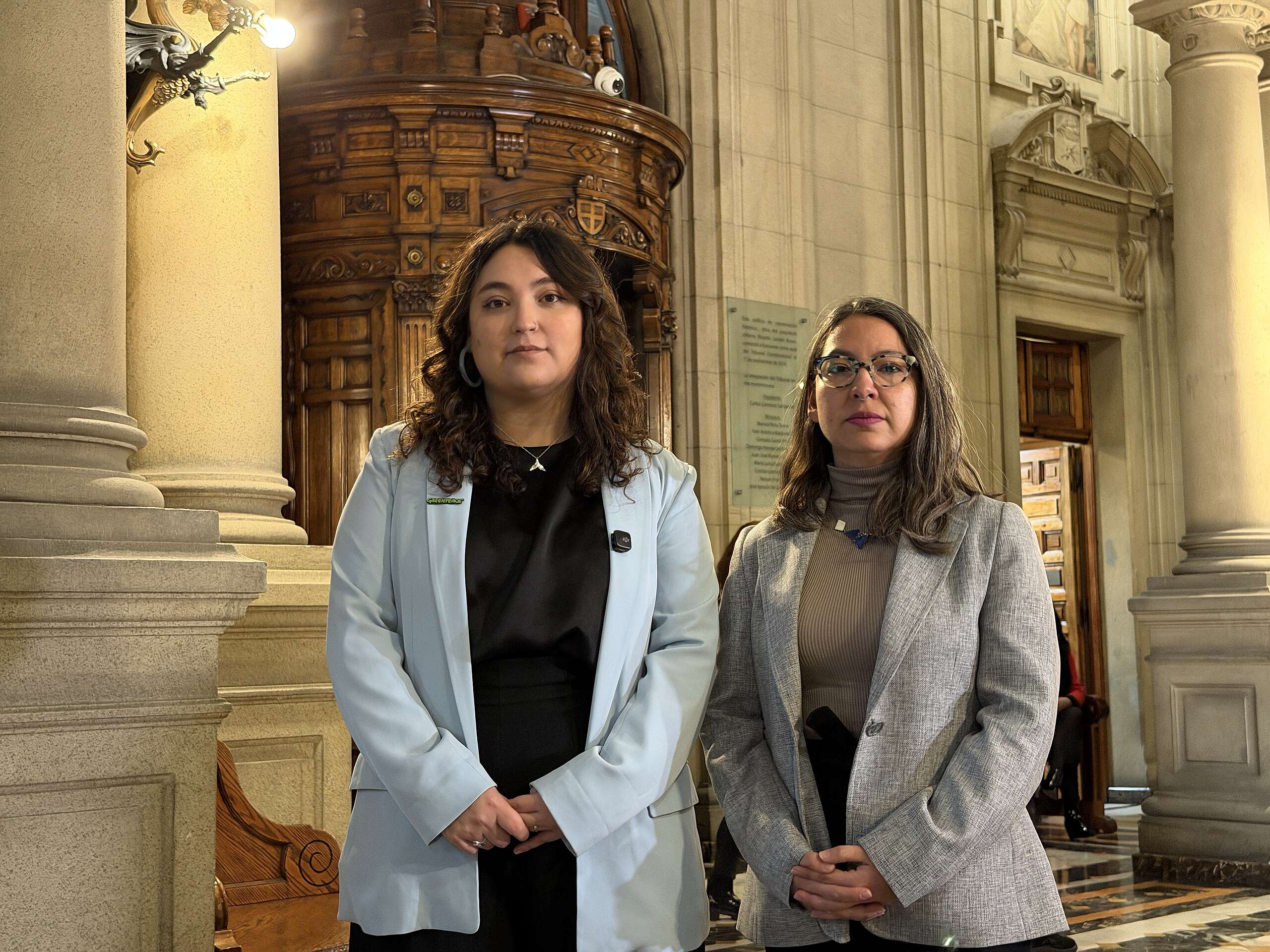Greenpeace: “El pronunciamiento del Tribunal Constitucional representa una victoria para el medio ambiente”