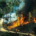 A forest fire extends over farms and forest in Cujubim, Rondônia state. In August 2016, Greenpeace flew over the Amazon to search for and register forest fires spots. This year's forest fire season is already being considered one of the worst ever.
Queimada se estende por fazendas e floresta em Cujubim, Rondônia. Em agosto de 2016, o Greenpeace sobrevoou a Amazônia para localizar e registrar focos de queimadas e incêndios florestais. A temporada de queimadas deste ano já é considerada como uma das piores da história.