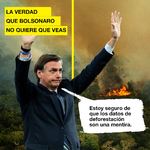 En lugar de proteger el Amazonas, el gobierno hace campaña para salvar su propia imagen