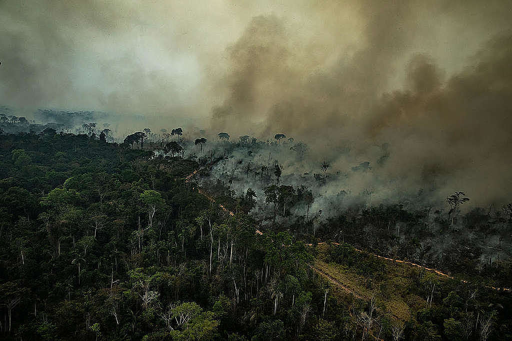 Incendio Amazonas