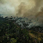 Las 3 causas de los incendios en el Amazonas
